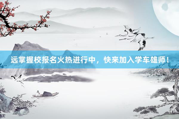 远掌握校报名火热进行中，快来加入学车雄师！