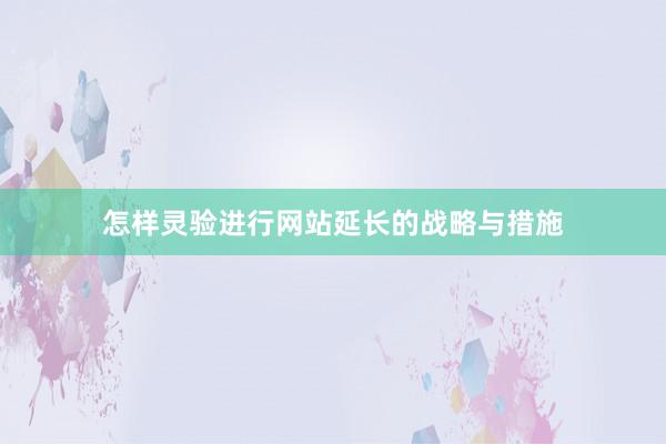怎样灵验进行网站延长的战略与措施